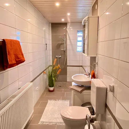 Ferienwohnung Mit Schoener Terrasse. Ellerstadt Exterior photo