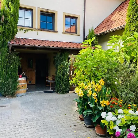 Ferienwohnung Mit Schoener Terrasse. Ellerstadt Exterior photo